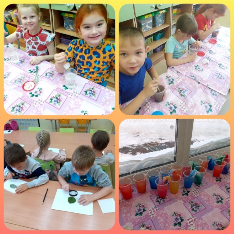 InShot_20230522_221800096.jpg